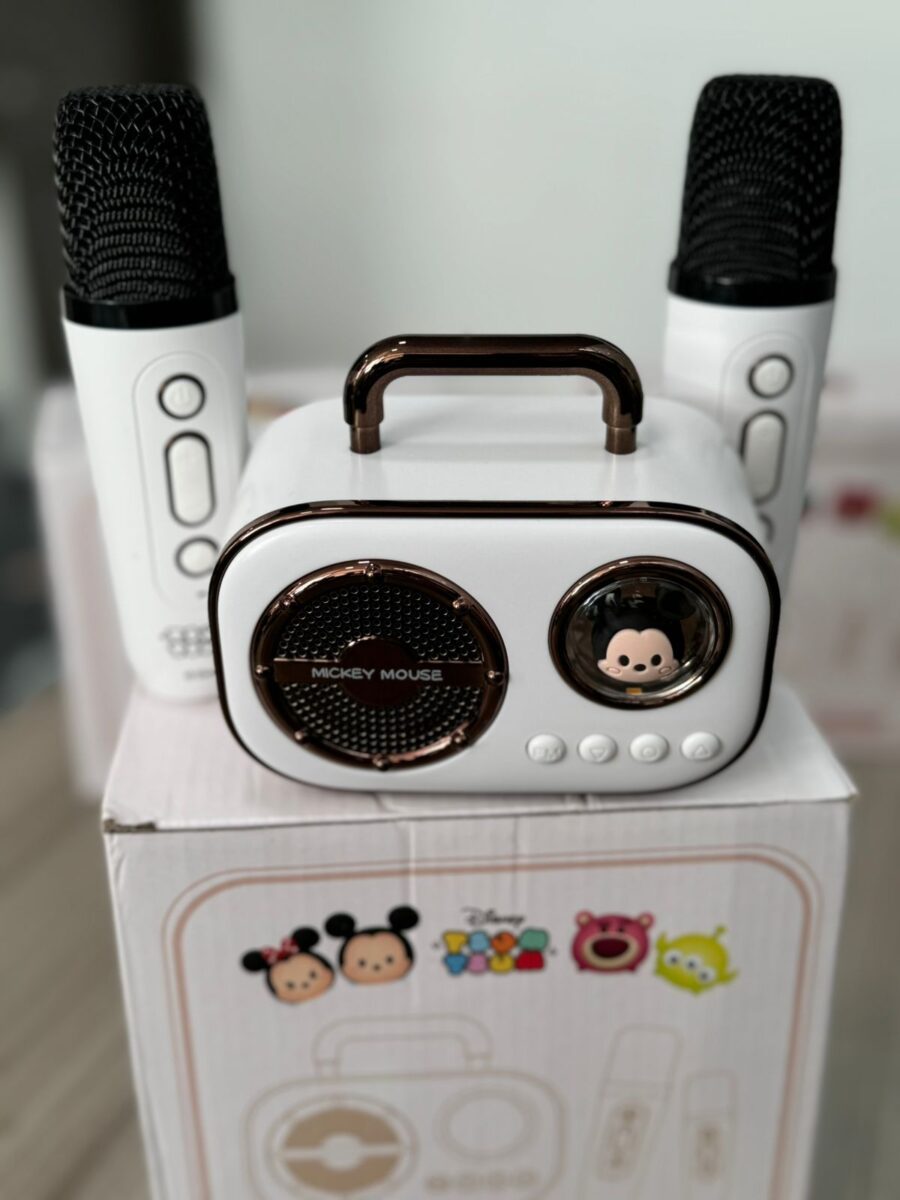 Mini Karaoke Animado